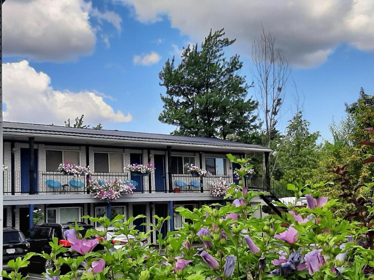 Blue Moon Motel Ниагара-Фолс Экстерьер фото